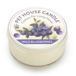 Wild Blueberries